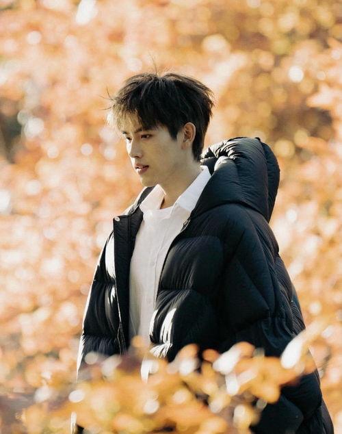 张婧仪爆料陈飞宇发视频,揭秘娱乐圈背后的真相  第2张